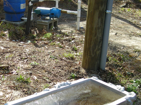 Click to View Larger Image